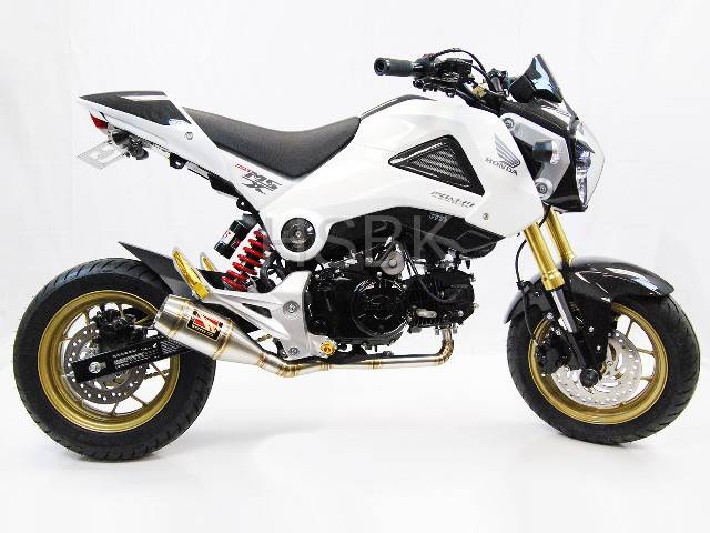 honda grom head