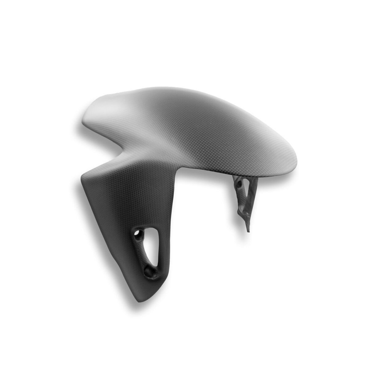 Parts Ducati 899 / 959 / 1199 / 1299 / V2 Carbon Fiber V2