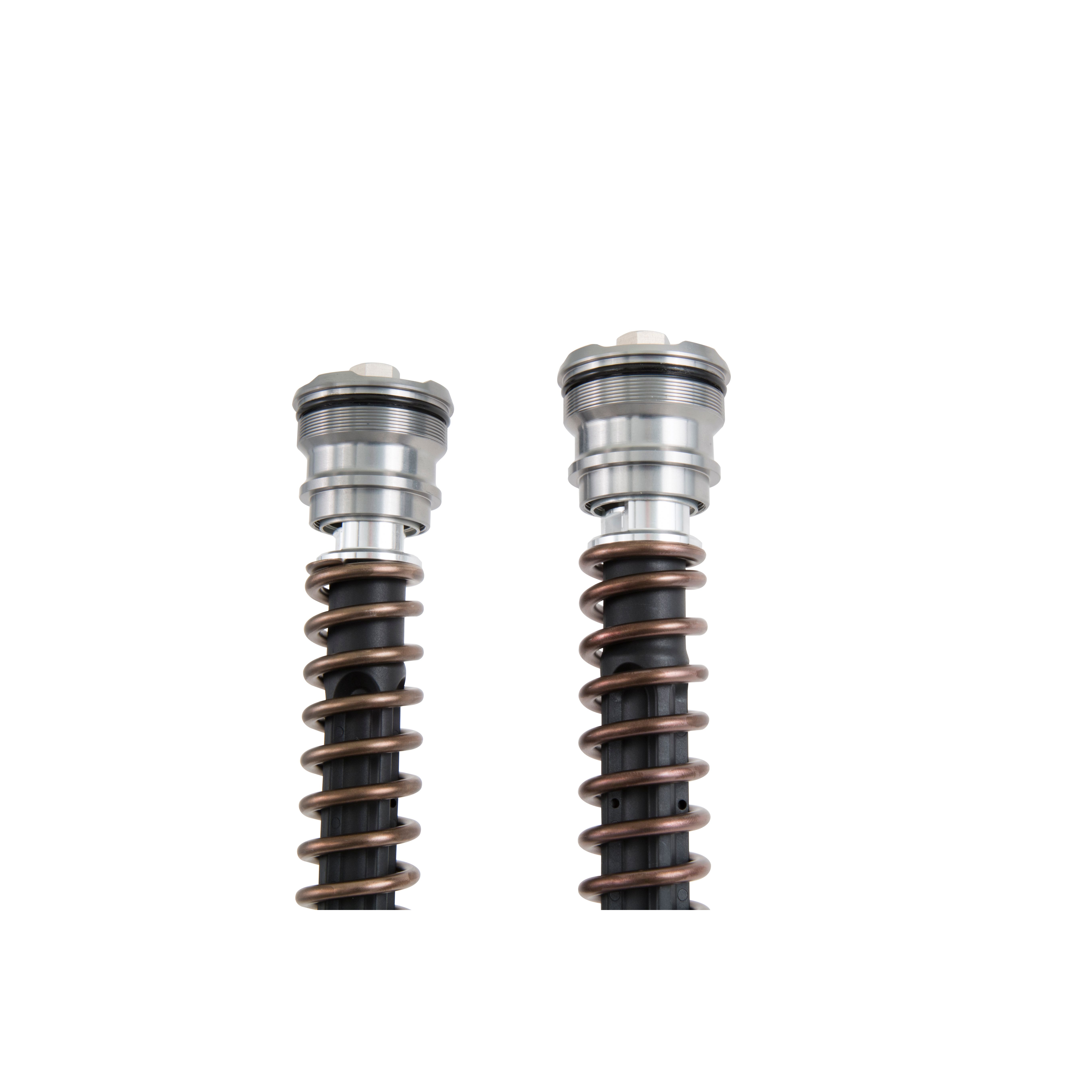 Parts Ducati V4 Suspension Forks Ohlins Ducati 899 959