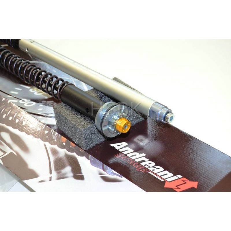 Parts Aprilia RS 660 Suspension Andreani Aprilia RS 660