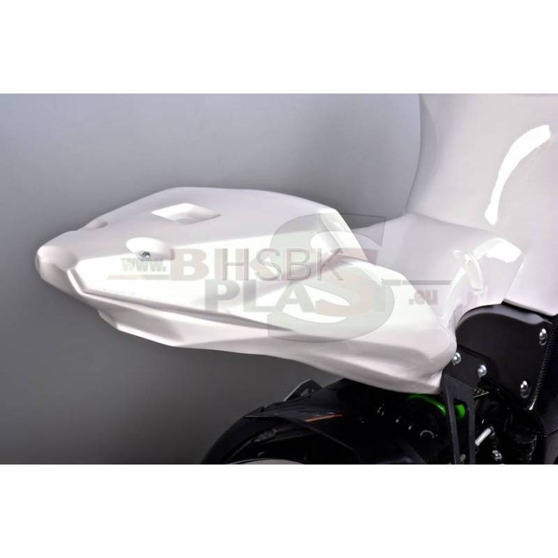 Parts :: Kawasaki :: Ninja ZX10R :: Race Fairing Stay